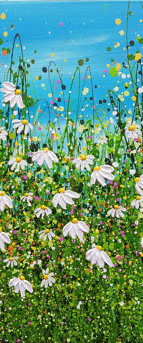 Delightful Daisy Meadows #3 by Lucy Moore