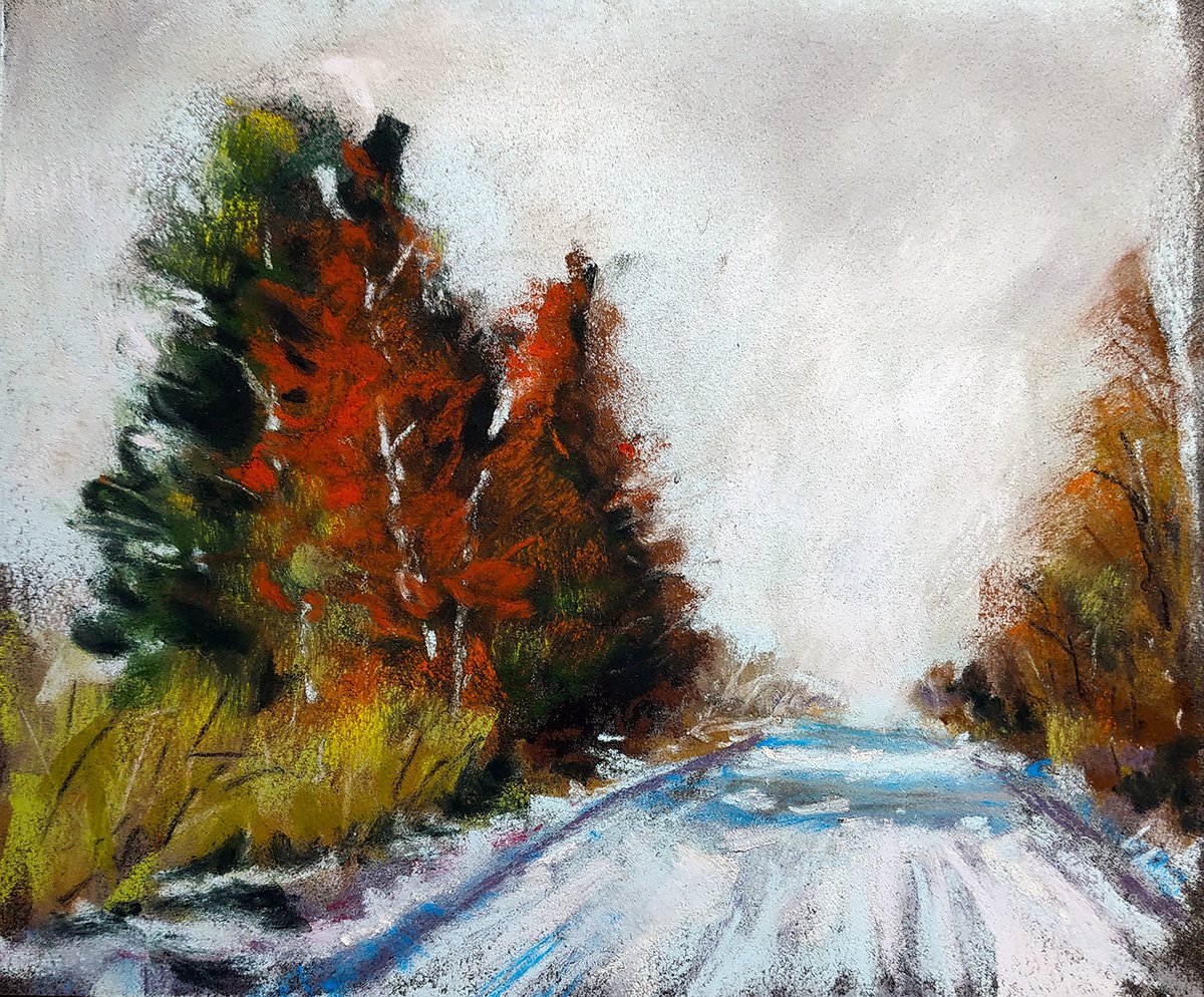 Snowy Winter Road by Richard Eijkenbroek