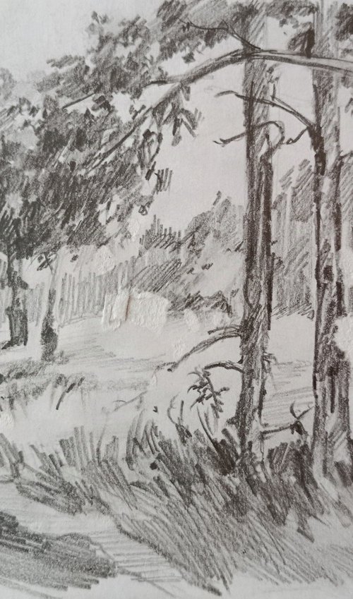 Forest by Tetiana Borys