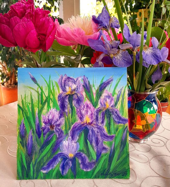 Irises