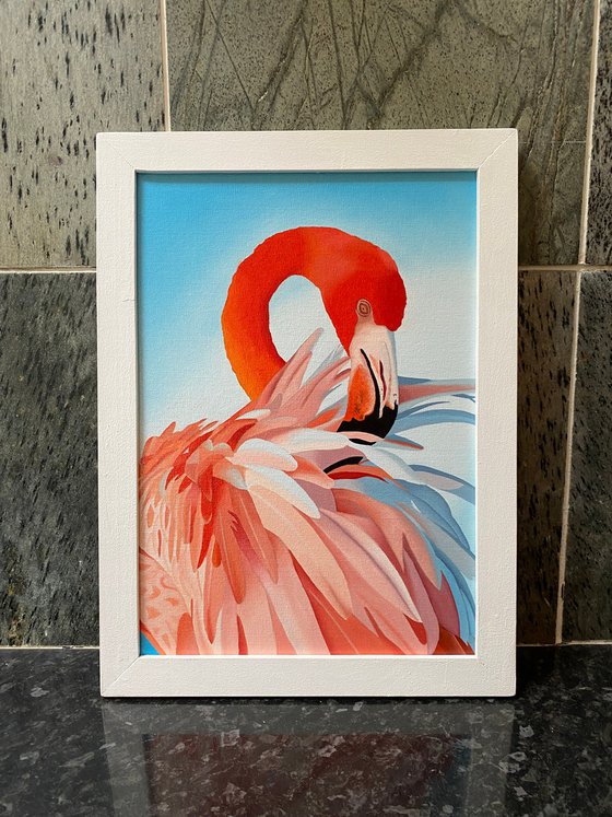 Flamingo