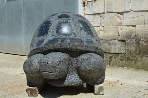 "Giant Tortoise"