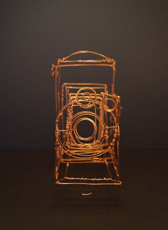 Kodak Camera Wire Sculpture