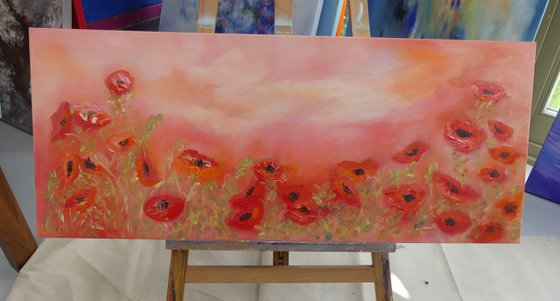 red hot poppies