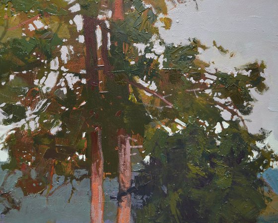 Silence of Pines