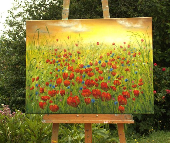 Sunset at the poppy field