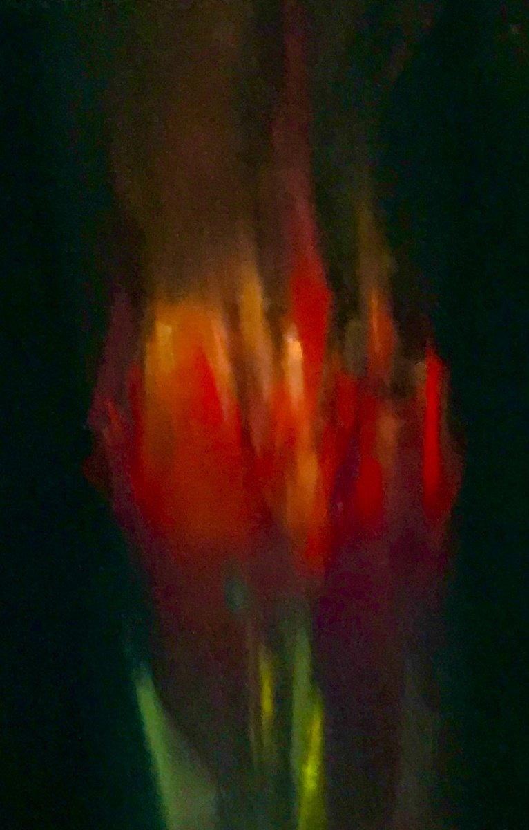 smoking tulip by Deke Wightman