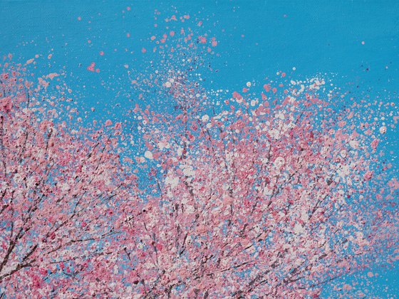 Cherry blossom dances in the blue, blue sky | 76cm x 76cm