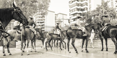 CITY COWBOYS by Andrew Lever