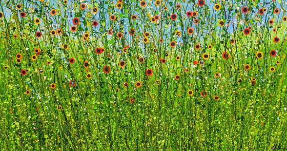 A Symphony Of Poppies #4