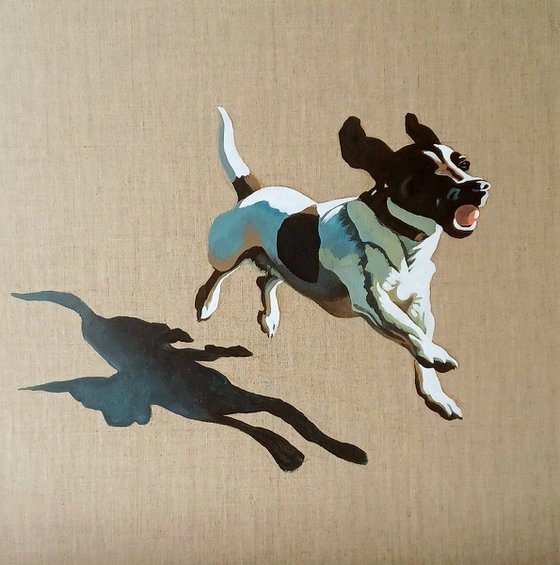 Bouncy Bouncy..! (Terrier)