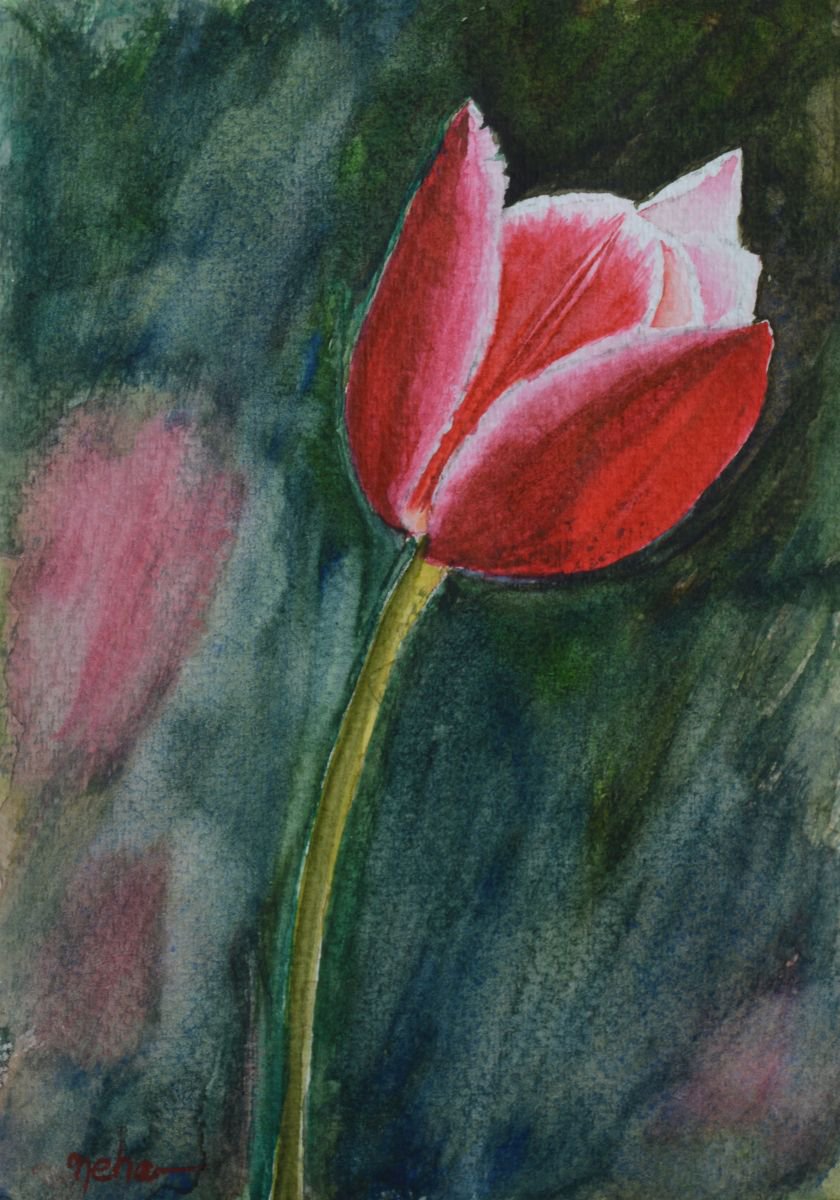 Tulip by Neha Soni