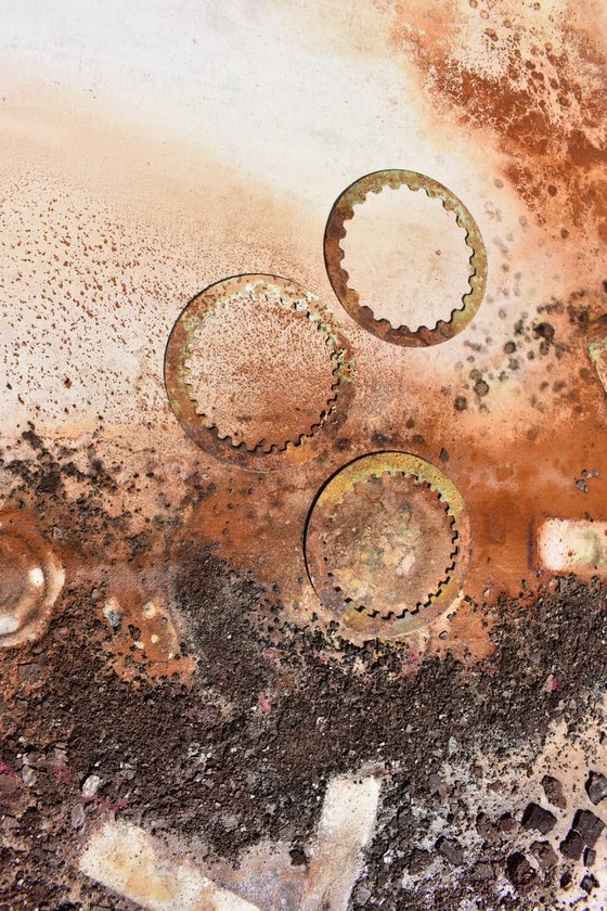L'eredità della terra