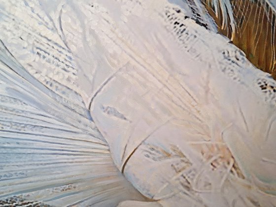 WHITE PEACOCKS 2