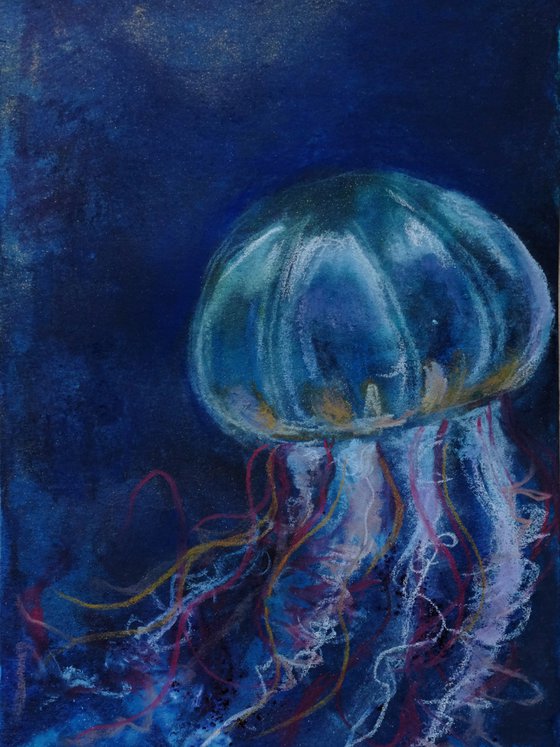 Jellyfish