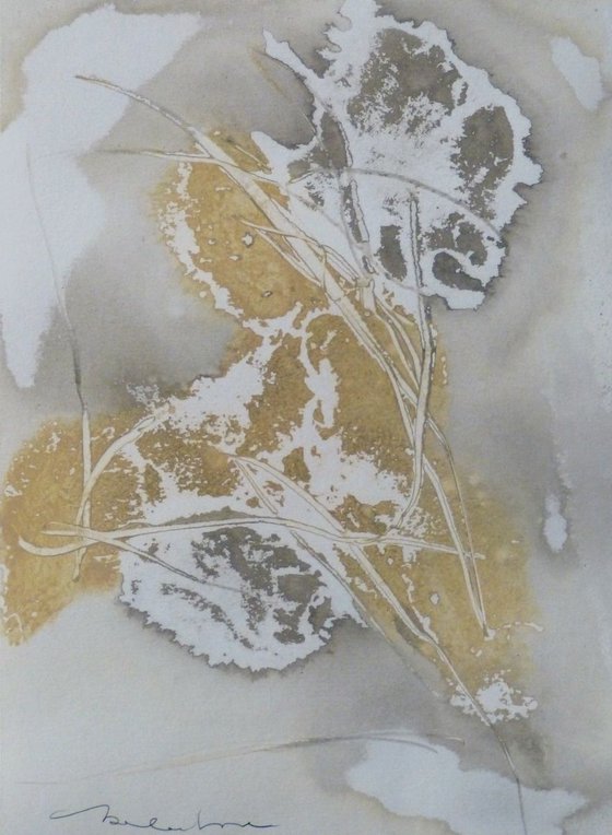 Transparency 2, 21x29 cm