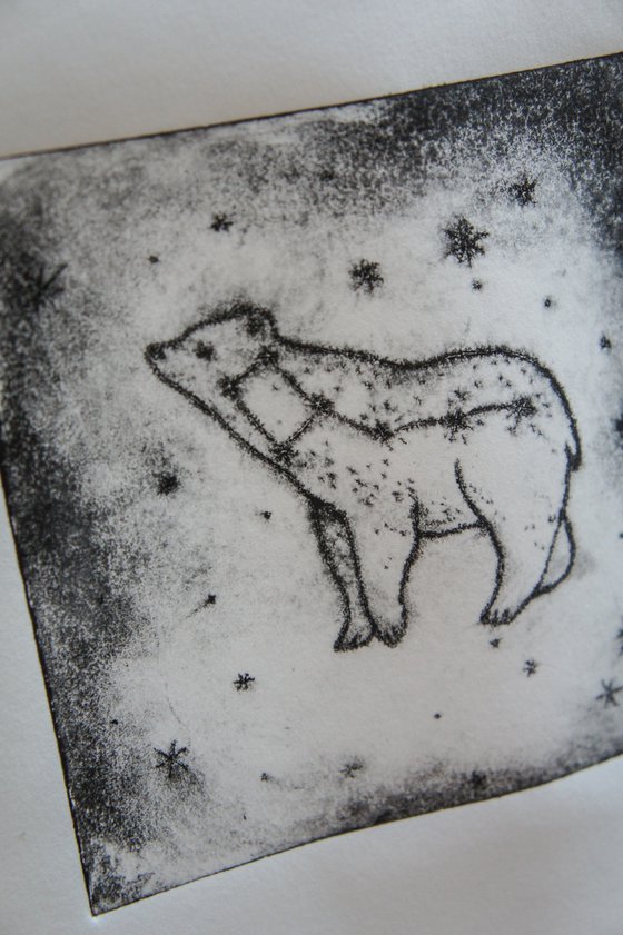 Ursa Minor Little Bear