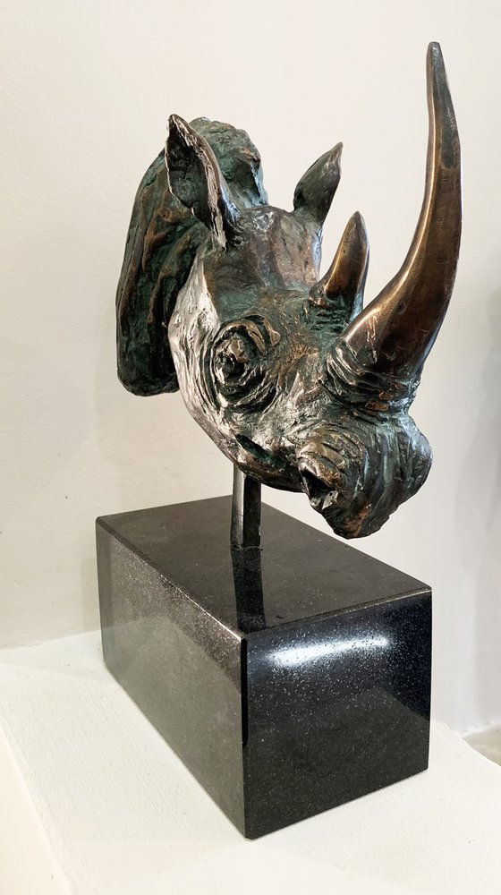 Rhino-head