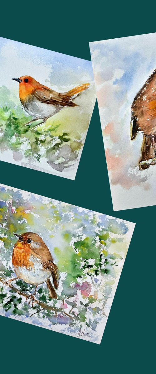 Robins Set of Three by Asha Shenoy