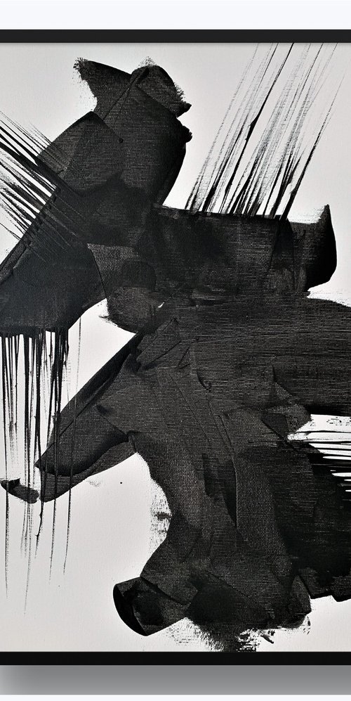 Black &amp; White. (3) by Vita Schagen