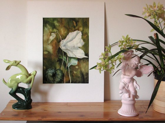 Winter Cyclamen