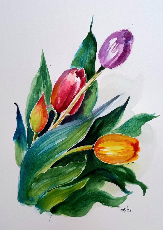 Tulips