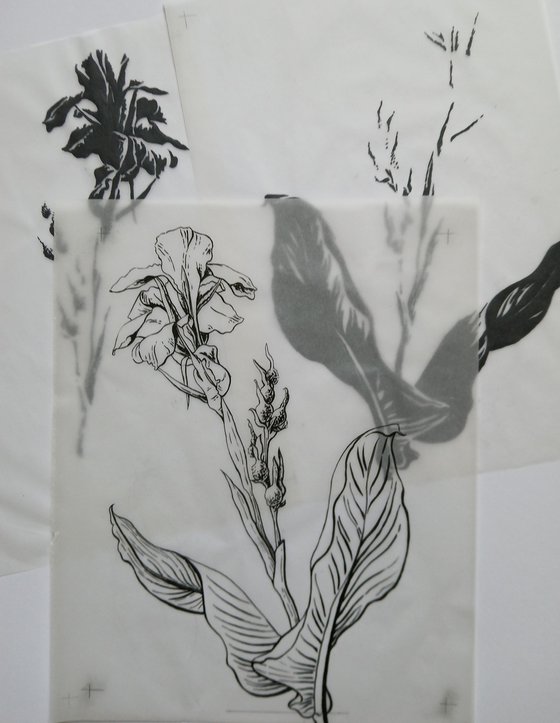 Canna Lily with Tiles