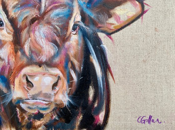 Big Red, Limousin X Bull, Original Oil Painting on Linen Board