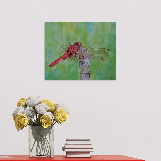 DRAGONFLY