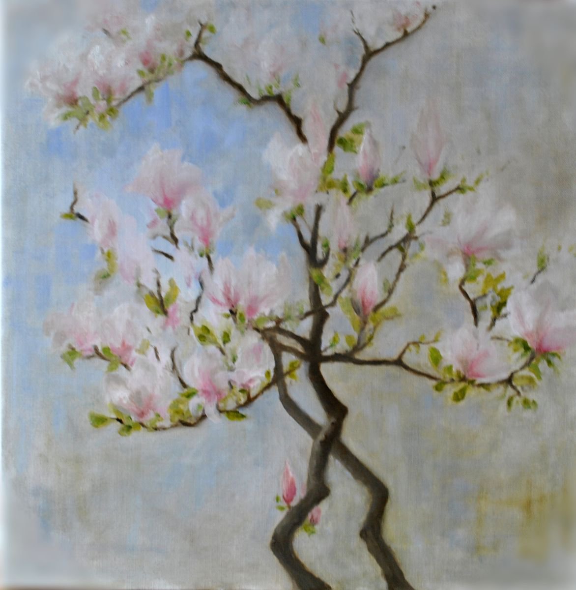 Impressionistic Botanical Oil Painting By Daniela Roughsedge, 20 X 20, Magnolia Magnificent, Original Artwork