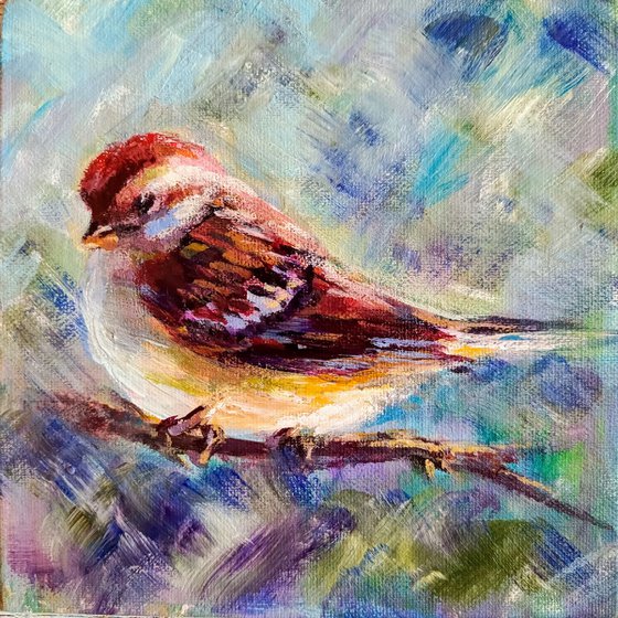 Little sparrow