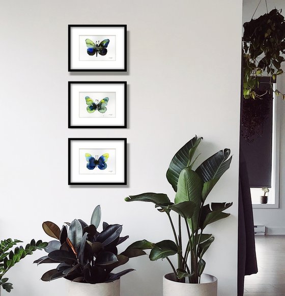 Butterfly Song Collection 5