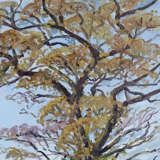 Oulston Trees, March