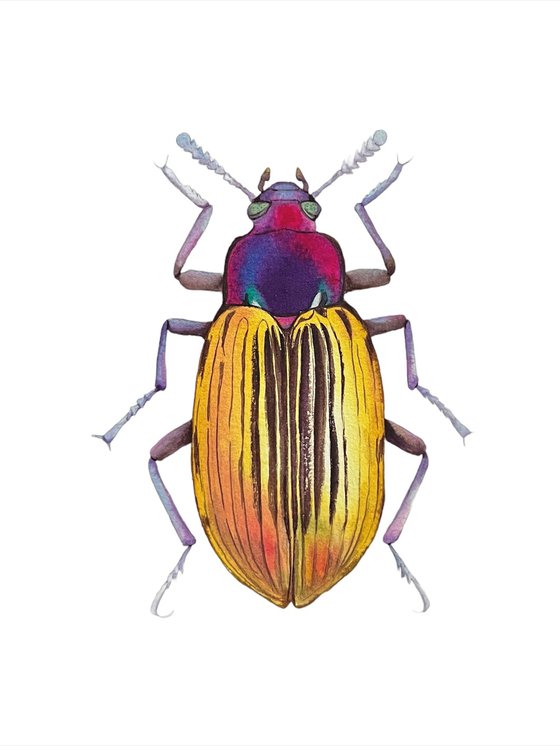 Golden beetle. Original watercolour artwork.