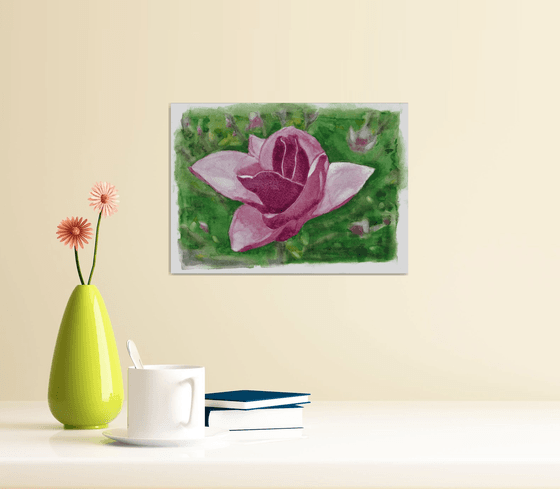 MAGNOLIA II