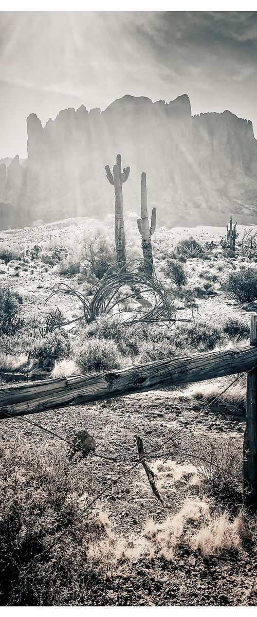Searching The Superstition Mountains by John Celeste