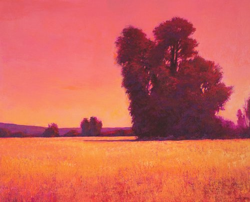 Pink Sunset Field 240202 by Don Bishop