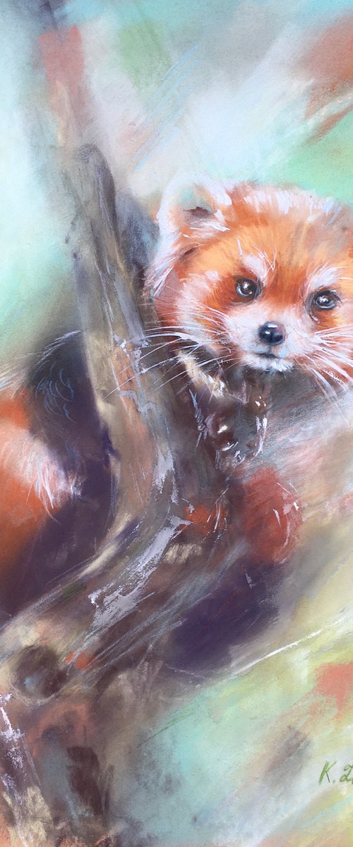 RED PANDA ON THE TREE by Ksenia Lutsenko