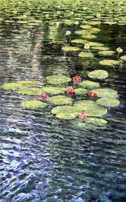 Water Lilies by Glen Robert Hacker