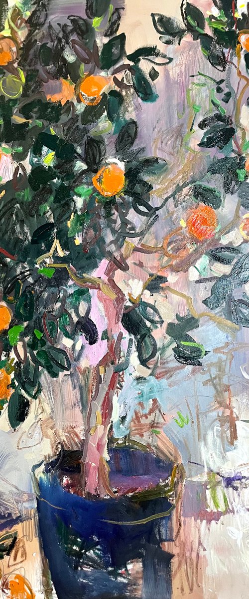 Watching an orange tree grow. by Lilia Orlova-Holmes