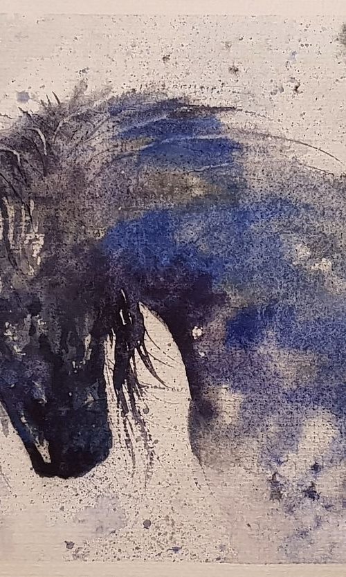 "Pegasus the Grey" SPECIAL ORDER FOR ALISON!!! by Ivan  Grozdanovski
