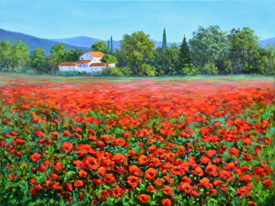 Red Poppies