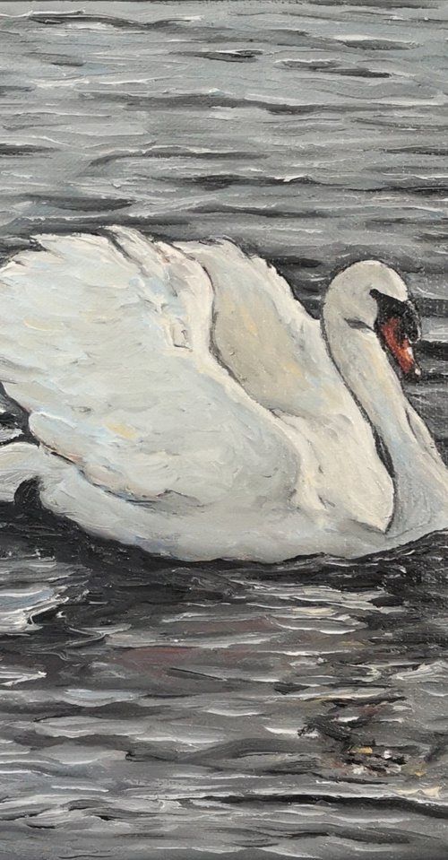 Swan by Cécile Pardigon