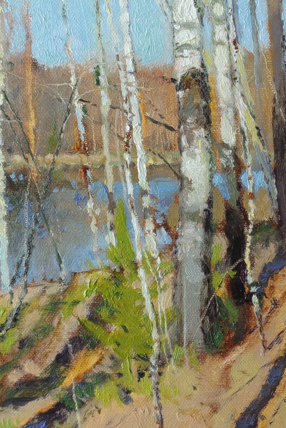 Spring on the Chibyshva River