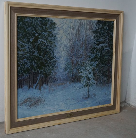 Winter forest