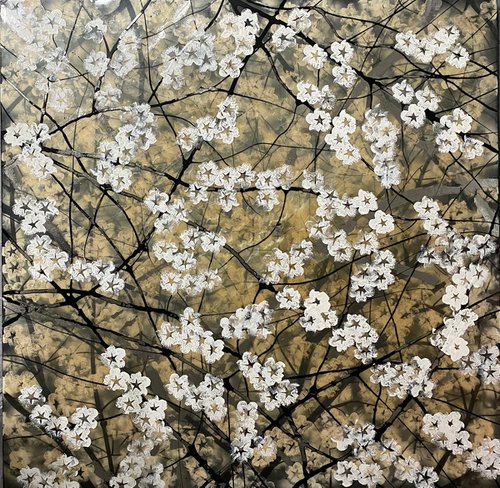Cherry Blossom by Robin Eckardt