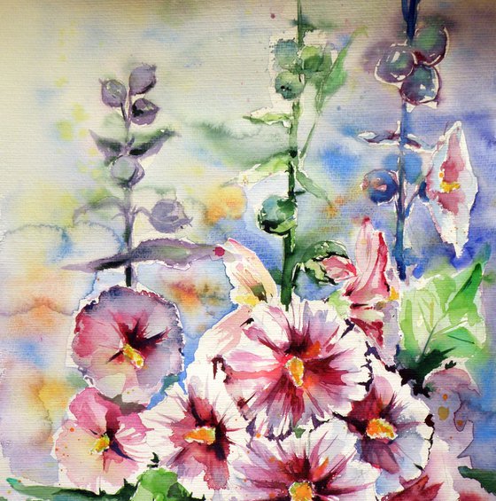 Mallow flowers