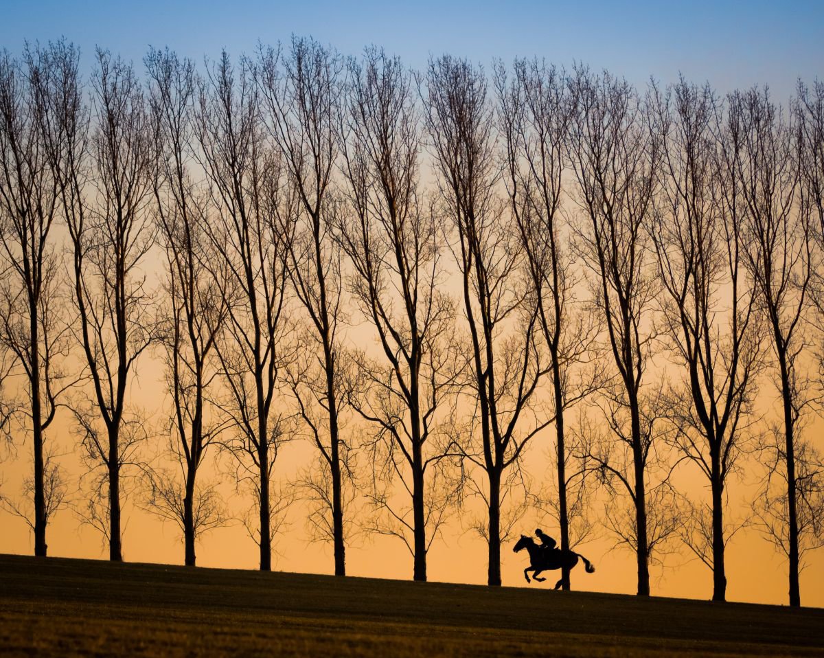 Evening Gallop by Kevin Standage