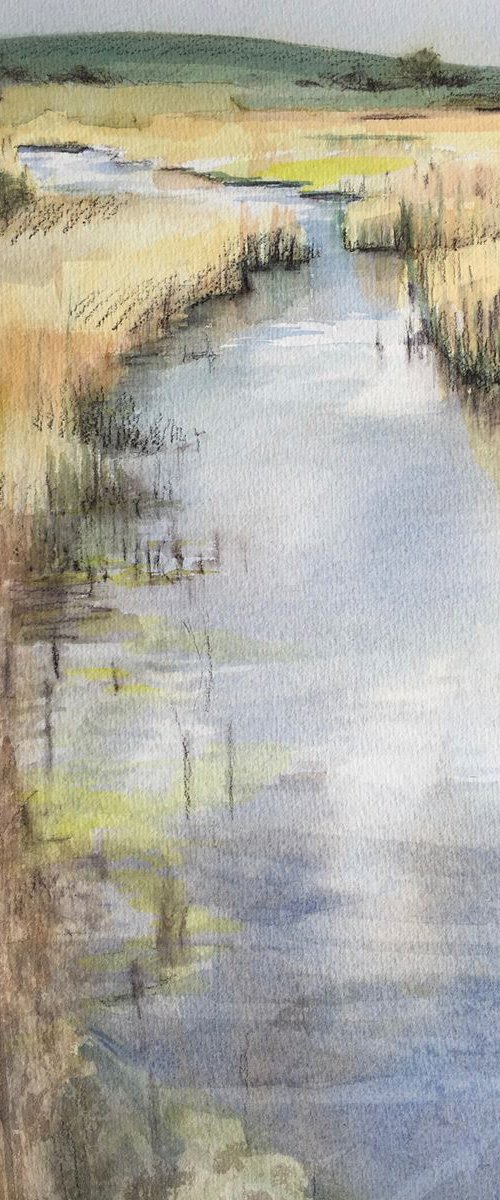 River in the Reeds I by Susan Clare