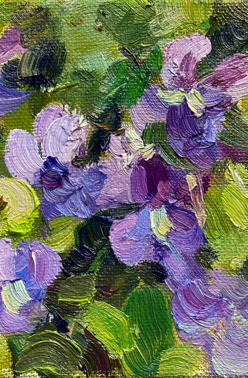 Violets by Nataliia Nosyk